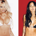 Plutôt Pamela Anderson ou Megan Fox? Plutôt Pamela Anderson ou Megan Fox?