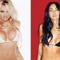 Plutôt Pamela Anderson ou Megan Fox?