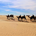 Voyager en Tunisie, 4 choses à faire lors d’un voyage en Tunisie