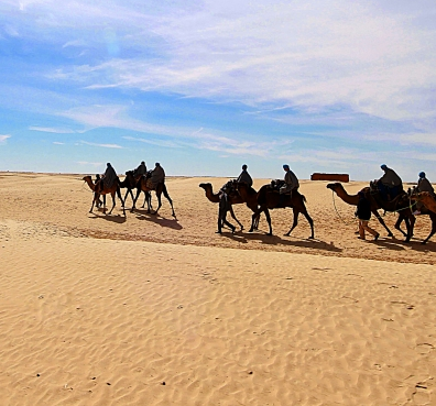 Voyager en Tunisie, 5 choses a faire lors d'un voyage en Tunisie