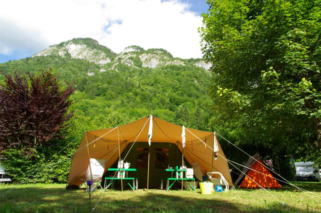 camping foret montagne