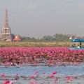 Thaïlande – Passer un séjour nature dans les îles Thaïlande – Passer un séjour nature dans les îles