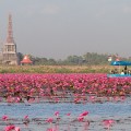 Thaïlande – Passer un séjour nature dans les îles