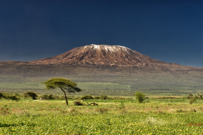 kilimandjaro