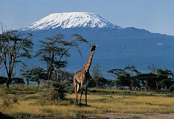 kilimandjaro montagne - Image