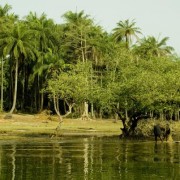 Partez avec moi pour un tour de la Guinée !