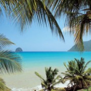 2 excellentes activités pour découvrir la Martinique ! 2 excellentes activités pour découvrir la Martinique !