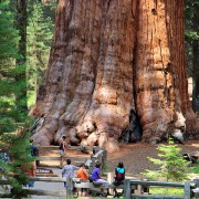 Partez à la découverte des parcs nationaux américains !