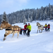 Andorre, sensations fortes garanties ! Andorre, sensations fortes garanties !