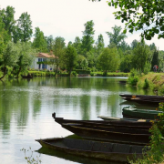 Marais Poitevin, immersion dans la Venise verte